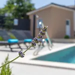 Gorgeous Home In Krsan